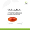 thumbnail image 4 of Terry Naturally Omega-7 Dry Eye Relief - 60 Softgels, 4 of 7