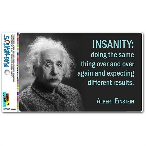 Definition of Insanity Einstein Funny Automotive Car Refrigerator Locker Vinyl Magnet