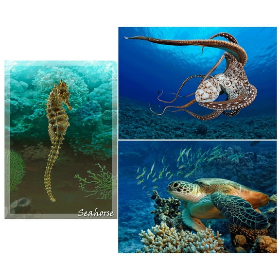 SEALIFE creatures: 3 Lenticular 3D Postcard Greeting Cards - Seahorse, Octopus and Turtle