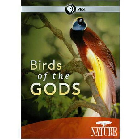 Nature: Birds Of The Gods