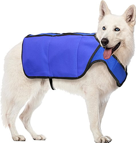 hugs pet products chilly mat reviews