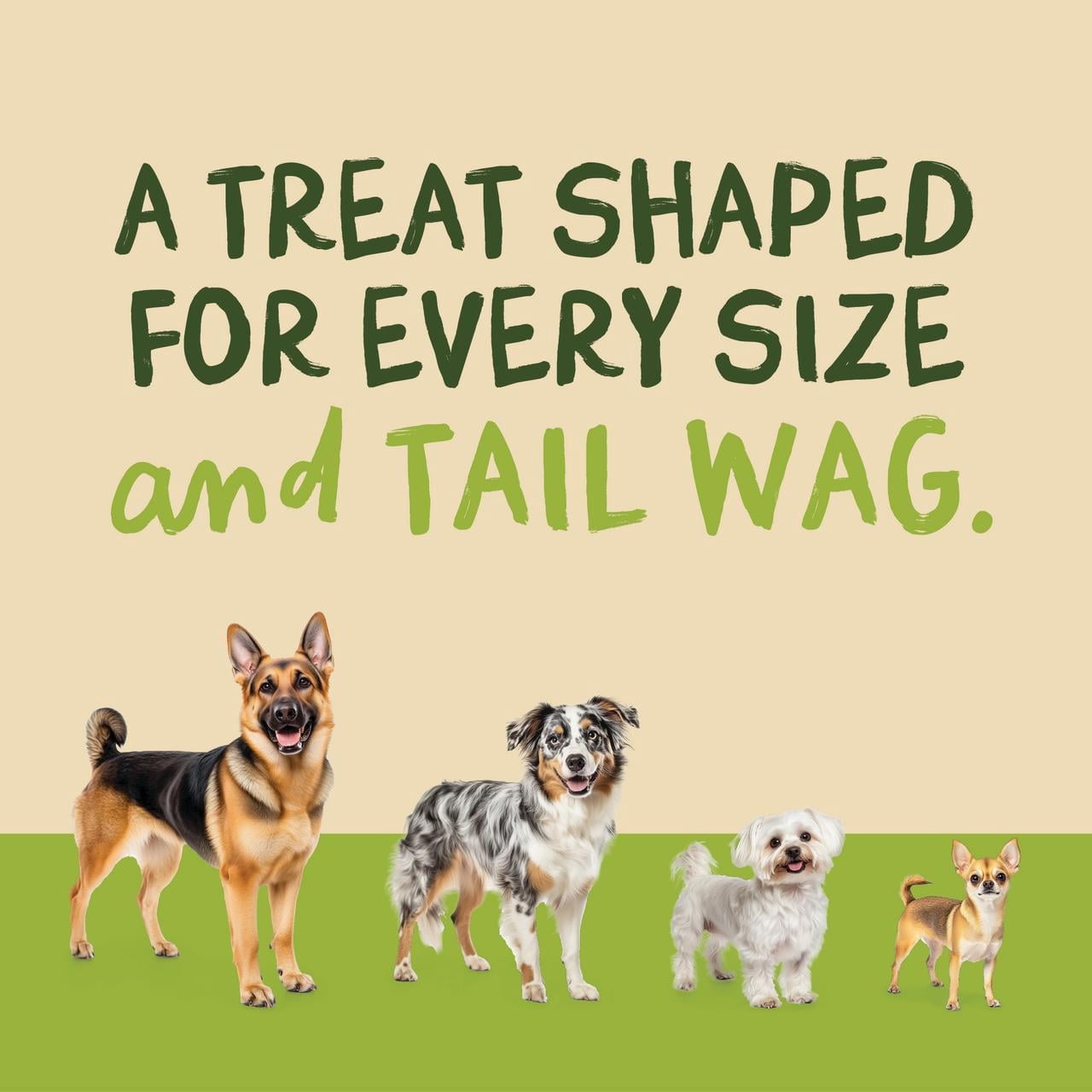 Pet 'n Shape Chik 'n Wrapped Biscuits – Jerky Dog Treats - 35 Ounce
