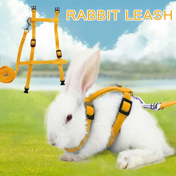 Travelwant Adjustable Rabbit Harness Leash Bunny Harness Leash, Harness
