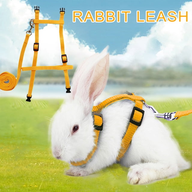 Neinkie Adjustable Rabbit Harness Leash Bunny Harness Leash, Harness Leash for Pet Safety Walk Running Jogging, Pet Harness Leash