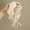 Beige, variant on 1 solid-color crocheted floral headband, bohemian-style solid-color knitted floral headband