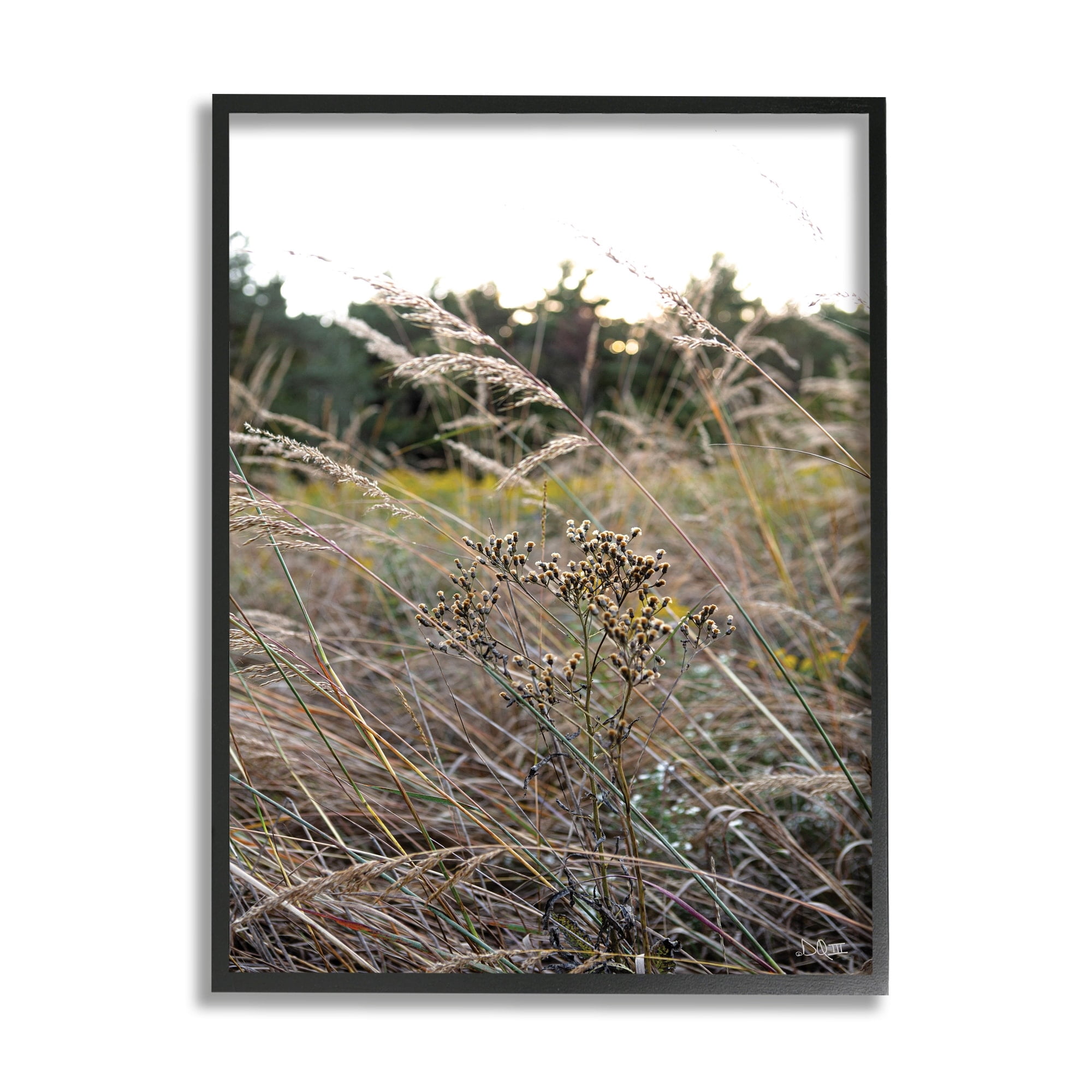 Stupell Industries Countryside Meadow Blooming Reeds Tall Grass Buds Framed Wall Art, 16 x 20, Design by Donnie Quillen