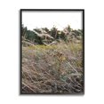 thumbnail image 4 of Stupell Industries Countryside Meadow Blooming Reeds Tall Grass Buds Framed Wall Art, 16 x 20, Design by Donnie Quillen, 4 of 5