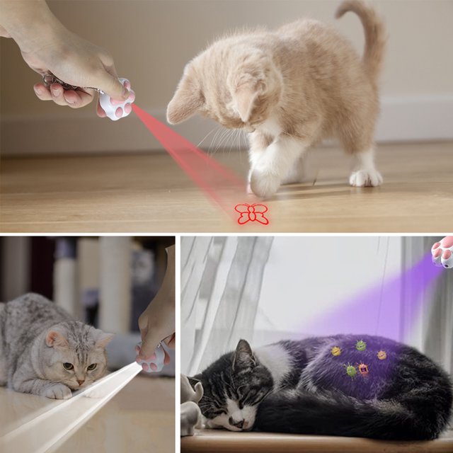 4-en-1 Chats Animaux Jouets Teaser Infrarouge Multifonctions Rechargeable Divers Modèles Iq Formation Jouet