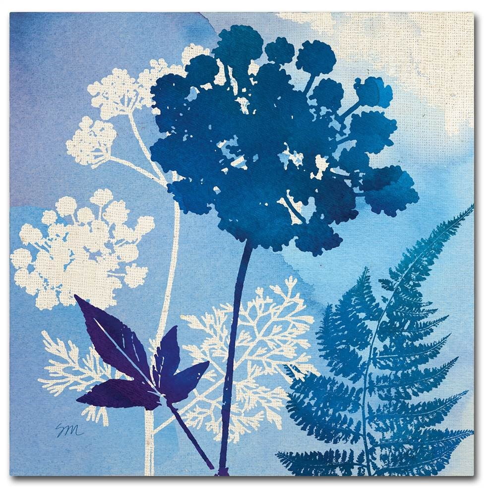 Trademark Fine Art 'Under the Sea I' Canvas Art by Studio Mousseau