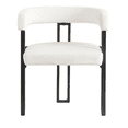 thumbnail image 6 of S-HOME Accent Armchairs in Beige with Black Metal Frame, Set of 2 Dining Room Chairs, 6 of 7