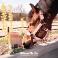 thumbnail image 3 of Herballs Gâteries pour Chevaux, 3 of 4
