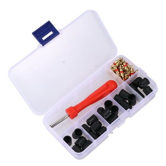 Parvistic 61pcs Auto Car Core Wrench Practical Removal Tool Tire Mounting Tool Motorbike Core Tool (Set 5)