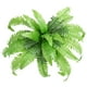 thumbnail image 1 of Simulada hierba persa hojas persas flores simuladas helechos bouquet decoración interior plantas artificiales, plantas artificiales, decoración de interiores, plantas de interior,, 1 of 8