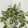 thumbnail image 3 of Decoración de boda estilo bosque flores colgantes de pared de plantas verdes simuladas - 96 piezas de hojas de cejas moradas - blanco y verde material: plástico tamaño total ANGGREK Otros, 3 of 8