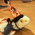 thumbnail image 4 of Neinkie Halloween Thanksgiving Bearded Dragon Lizard Leash Harness Hat Set - Bearded Dragon Clothe Halloween Pumpkin Hat Reptile Harness Leash for Bearded Dragon Lizard Reptile, 4 of 8