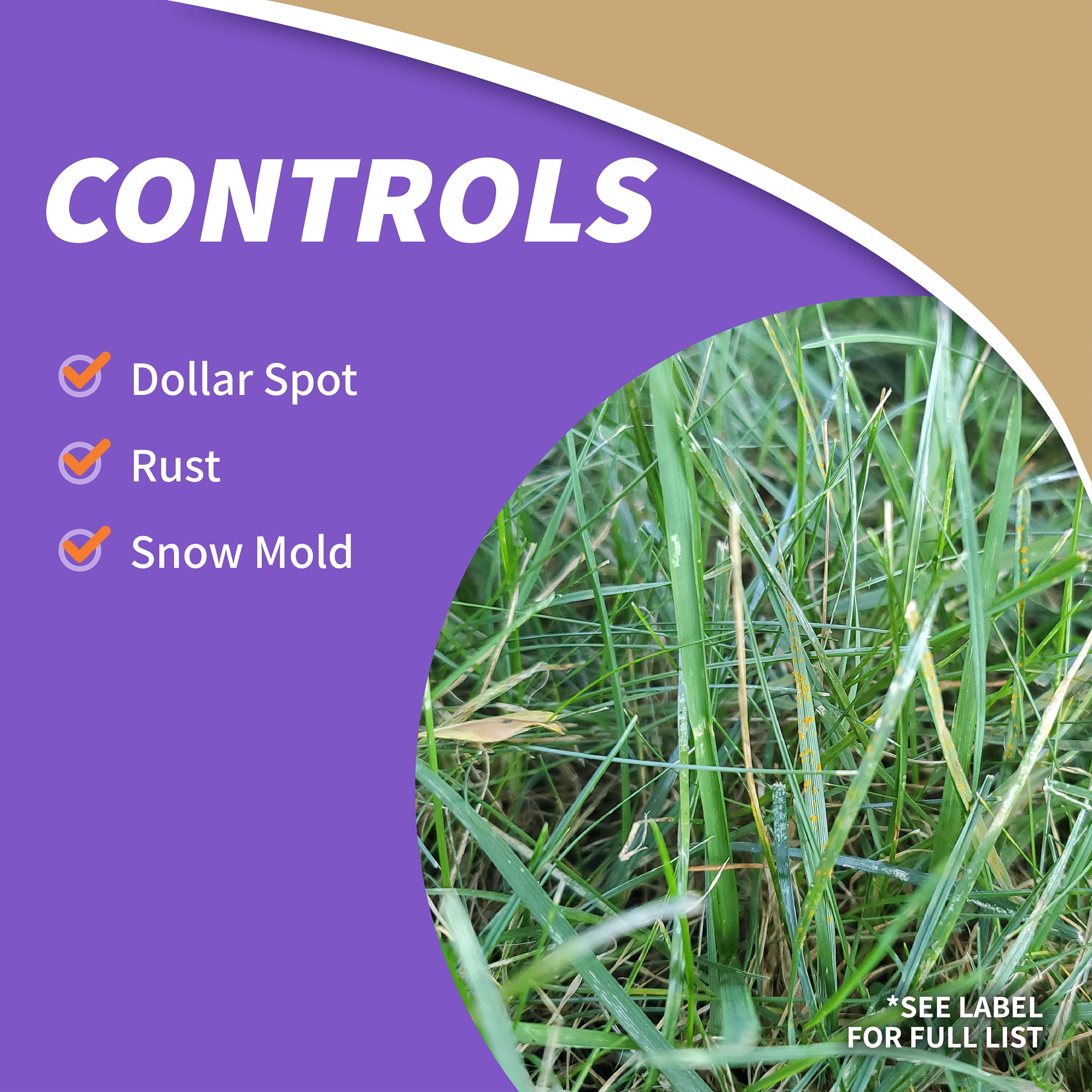Bonide Captain Jack's Lawnweed Brew, 128 oz Herbicide Spray, Controls Weeds, Moss, Algae, Lichens