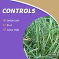 thumbnail image 6 of Bonide Captain Jack's Lawnweed Brew, 128 oz Herbicide Spray, Controls Weeds, Moss, Algae, Lichens, 6 of 8