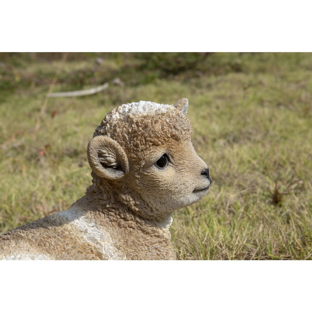 Hi-Line Gift Ltd. Small Brown & White Baby Lamb Lying Down