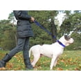 thumbnail image 2 of ZOUYUE Rope Dog Leash 6.5 FT with Comfortable Padded Handle, Highly Reflective Threads Dog Leash for Large/Medium Dogs, 1/2 inch, Multi-Color, 2 of 7