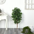 thumbnail image 3 of Nearly Natural 4' Single Ficus Artificial Tree (Pot Not Included), 3 of 3