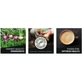 thumbnail image 4 of Terrasoul Superfoods Organic Raw Maca Powder, 2 Lbs (1 Lb 2-Pack) - Supports Increased Stamina & Energy, 4 of 11