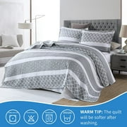 Bedduvit Gray/White Queen Size Quilt Set - 100% Cotton Grey Floal Striped Summer Quilt for Queen Bed, Reversible Classic Lightweight Queen Bedspread, 3-Piece Bedding Set All Season (98x90, Gray)