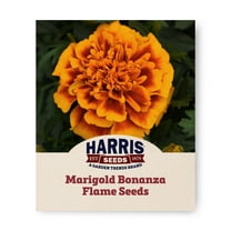 Harris Seeds - Marigold Bonanza Flame Seeds - Mahogany with Orange Border - 500 Seeds