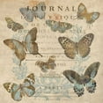 thumbnail image 2 of Devellier, Deborah 15x15 White Modern Wood Framed Museum Art Print Titled - Papillon I, 2 of 4
