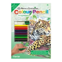CPN10 | Colour Pencil by numbers™ 13pc 8.75" x 11.75" Jaguar by Pool Project