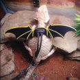 thumbnail image 1 of Reptile Leash Rope, Gecko Lizard Harness, For Lizards, 1 of 8