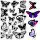 thumbnail image 1 of Sellos transparentes con espécimen de insecto, mariposa, animal volador, mariposas, fondo reutilizable, sello de goma para sellos postales, 1 of 9