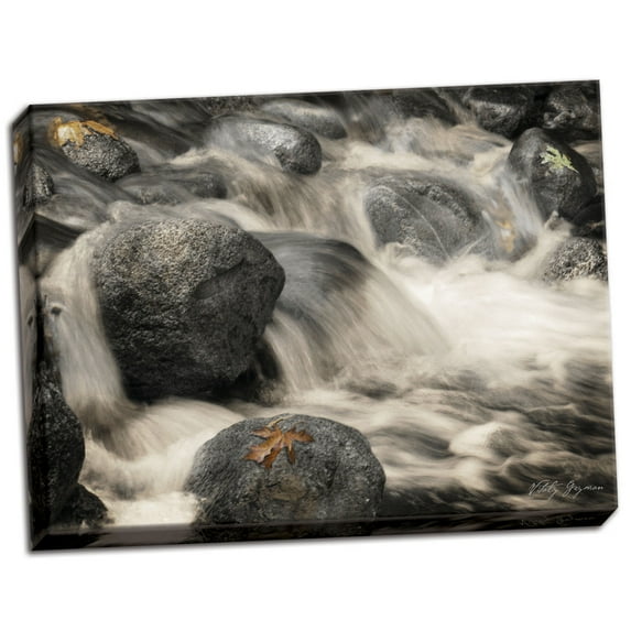Gango Home Decor Silver Falls I by Vitaly Geyman (Ready to Hang); One 24x18in Hand-Stretched Canvas