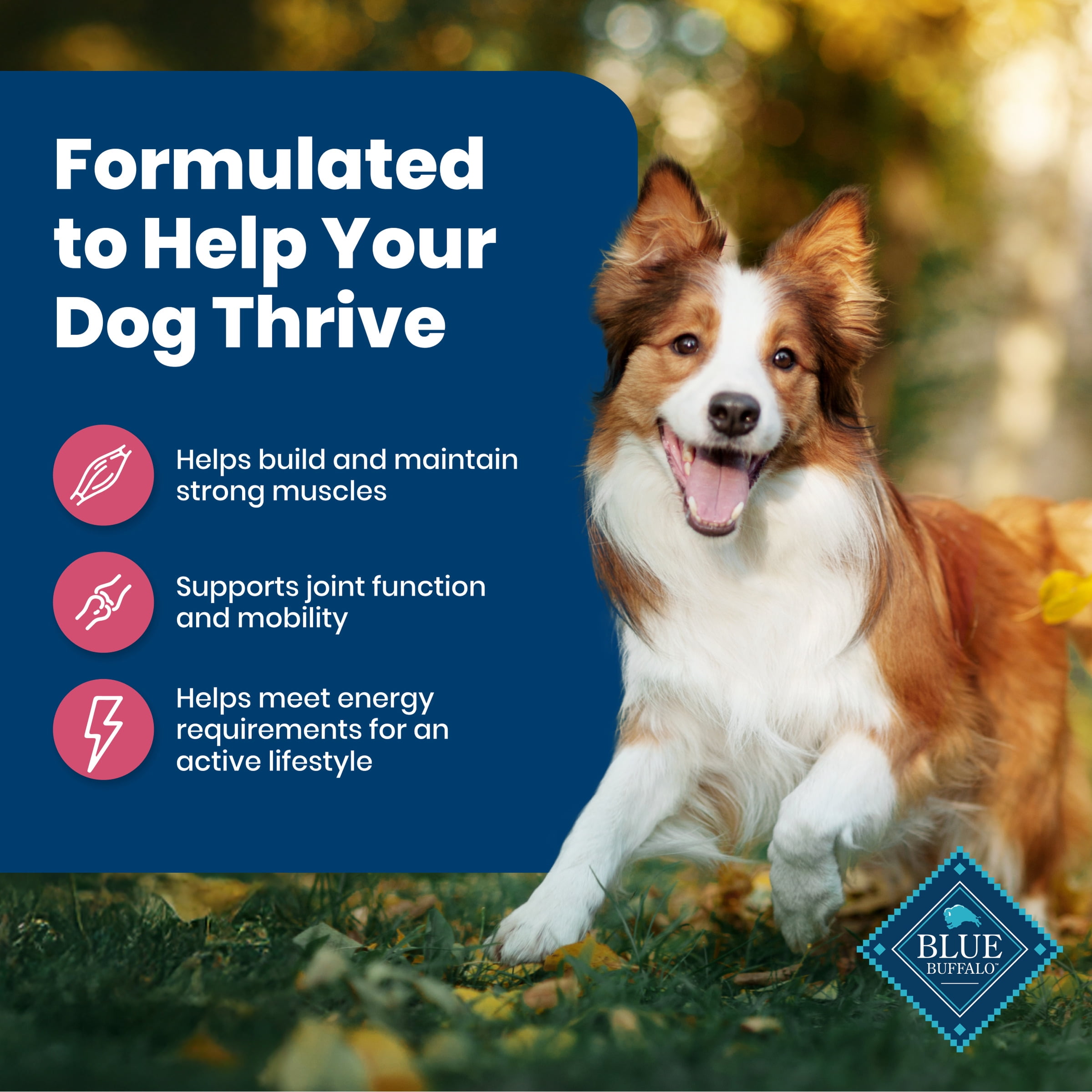 Blue Buffalo Life Protection Formula Adult Dry Dog Food, Salmon & Brown Rice Recipe, 34 lb. Bag