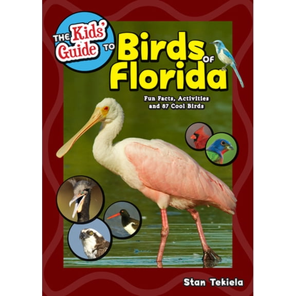 Pre-Owned The Kids' Guide to Birds of Florida: Fun Facts, Activities and 87 Cool Birds (Paperback) 159193835X 9781591938354