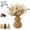 B, variant on Boho Wicker Vase Gourd Shaped, Farmhouse Table Centerpiece (B) | Natural willow desktop vase enhances bookshelf or entryway style. Durable woven design wont break. Best for dry floral stems