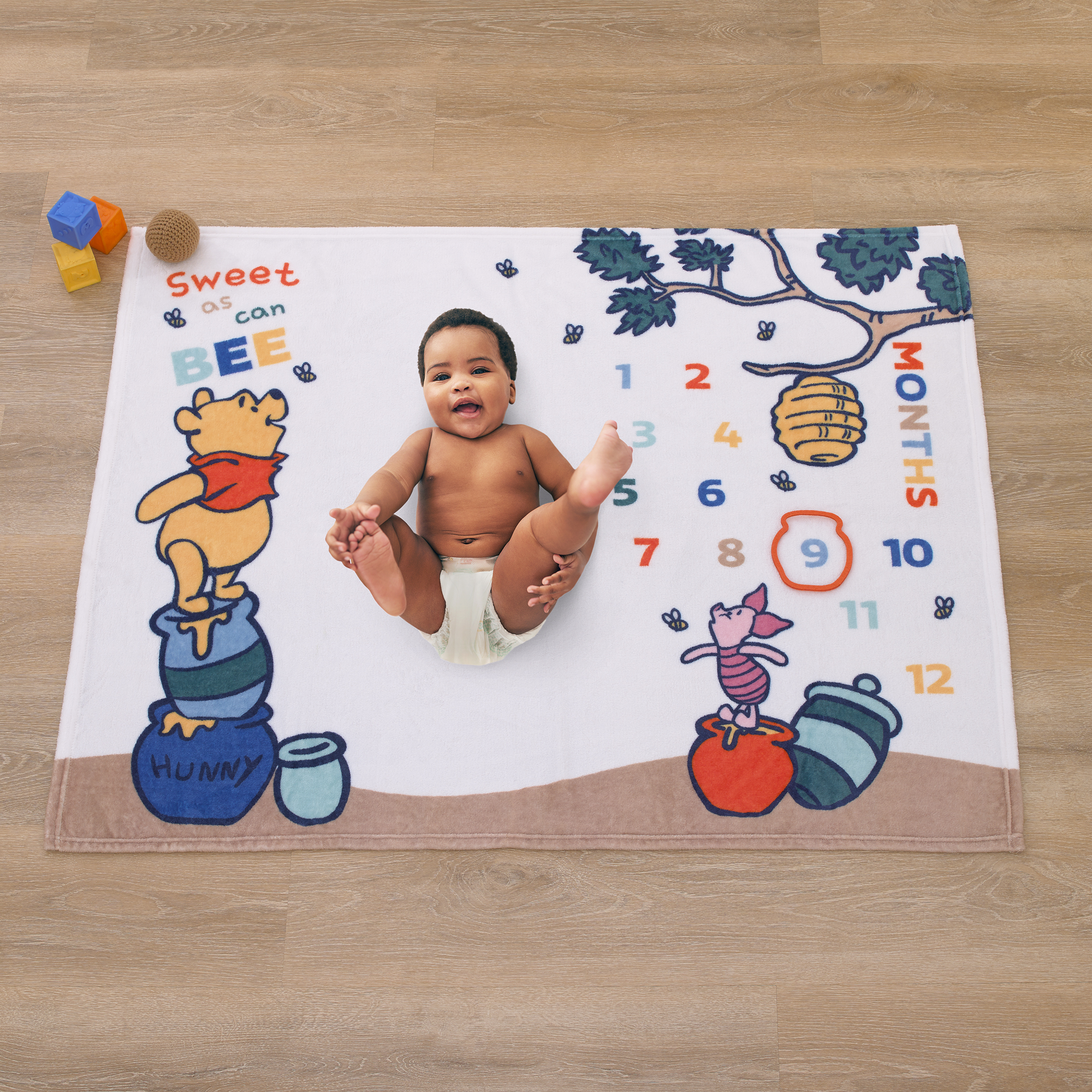 Disney Winnie the Pooh Photo Op Milestone Baby Blanket