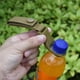 thumbnail image 3 of Correa para Botella de Agua para Exteriores, Nailon Resistente a Altas Temperaturas, Diseño Resistente y Duradero, Se Engancha Rápidamente para Escalada, Todoterreno, Portátil, Negro, Verde Militar,, 3 of 4