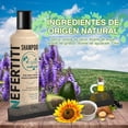 thumbnail image 4 of Shampoo Vegan Nefertiti 300 ml con Peine Alfamar | Fórmula Sin Sulfatos ni Parabenos | Limpieza Nutritiva para Cabello Dañado o con Alaciado Permanente, 4 of 6