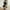 Black, variant on JUSTLET 61-inch DIY Multi-Level Cat Tree Tower with Scratching Posts, Purple
