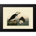 thumbnail image 2 of Audubon, John James 14x11 Black Modern Framed Museum Art Print Titled - Large Billed Puffin, 2 of 5