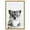 Gold Frame, variant on Art Remedy Funny Bathroom Art Canvas, 10" x 15", Black Frame, Koala with Glasses and a Cup