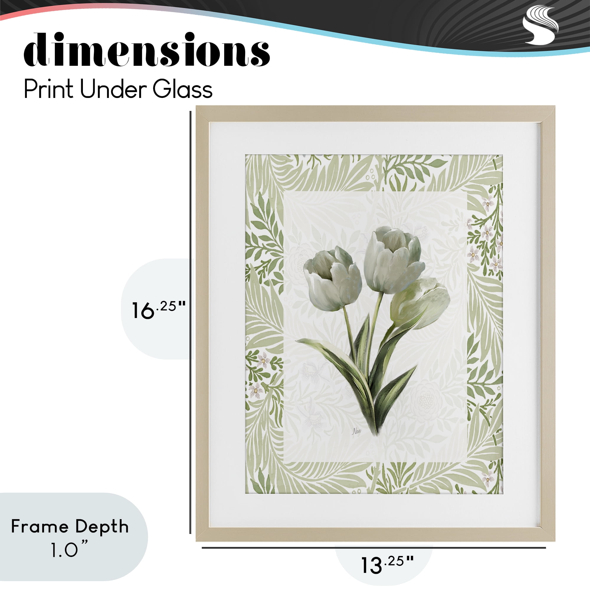 Stupell Industries Pale Green Tulip Trio Birch Framed Print Under Glass, design by Nan