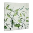 thumbnail image 4 of Stupell Industries Modern Vine Pattern Botanical & Floral Painting Gallery Wrapped Canvas Art Print Wall Art, 36 x 36, 4 of 8