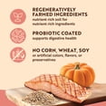 thumbnail image 4 of Canidae Heartland Pacific Salmon Adult Dog Food Ancient Grains, Dry Dog Food Skin & Coat, 10.5 lb Bag, 4 of 11