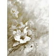thumbnail image 2 of Charest, Doris 12x14 Black Ornate Wood Framed with Double Matting Museum Art Print Titled - Lustrous Florals 2, 2 of 4
