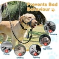 thumbnail image 2 of Bozal y correa sin corteza para perros pesados con cabeza halter XL, 2 of 7