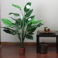 thumbnail image 4 of Northlight 47.5" Tropical Peace Lily Spathe Artificial Potted Plant - Green/White, 4 of 4