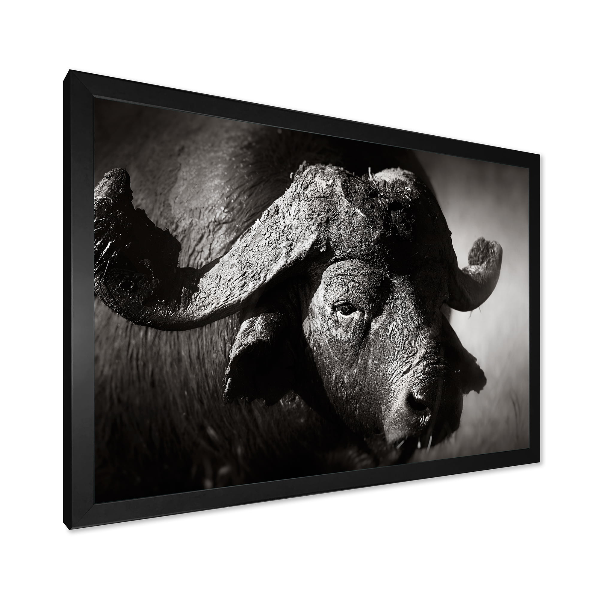 Designart 'Black and White Portrait Of Buffalo II' Farmhouse Framed Art Print
