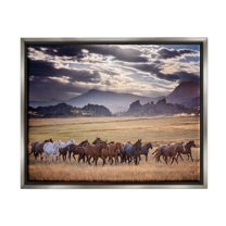Stupell Industries Galloping Horses Cloudy Mountains Landscape Photography Gray Floater Framed Canvas Art Print Wall Art, 21 x 17