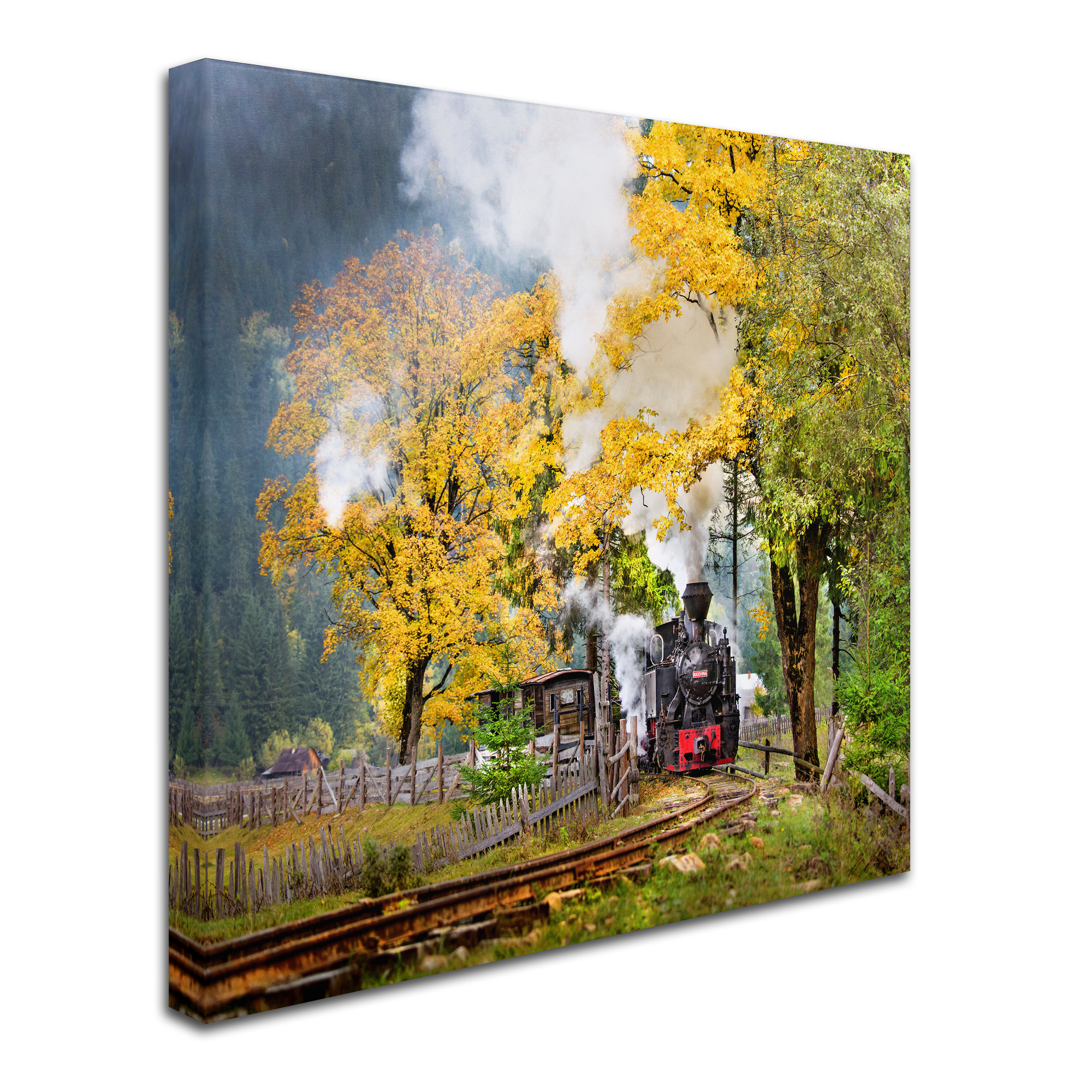 Sorin Onisor 'A Sort Of Fairy Tale' Canvas Art